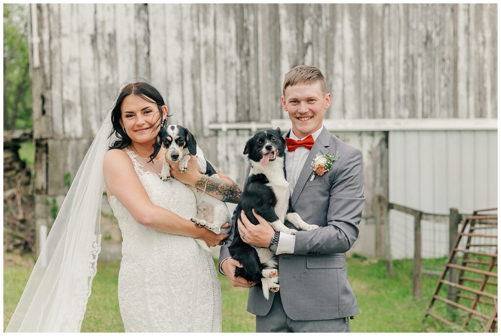 Bride and groom smiling while holding two black and white puppies in front of a wooden barn, adding a playful touch to their portraits.