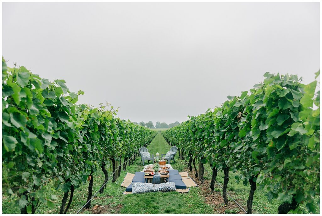 Brand photo of a custom picnic setup at Newport Vineyards, highlighting the elevated travel experiences offered by advisor Lauren, captured by Zoe Evans Photography.