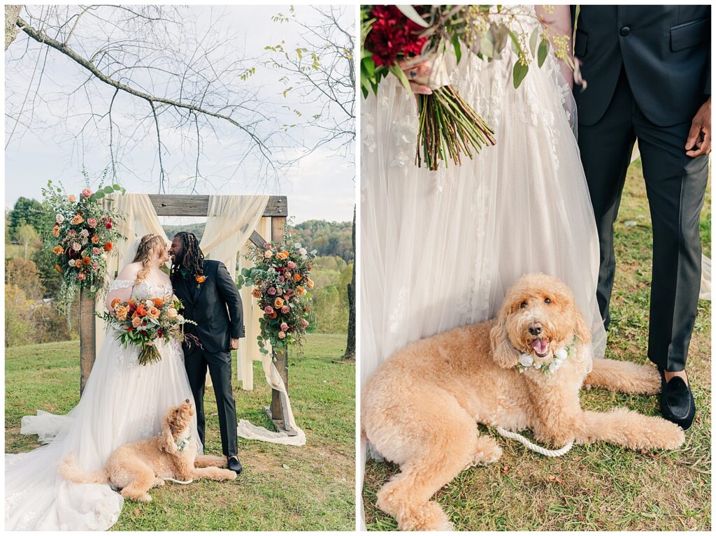 Bride and groom standing under rustic floral arch with their goldendoodle dog at Palomino Pastures in Ritchie County, WV.