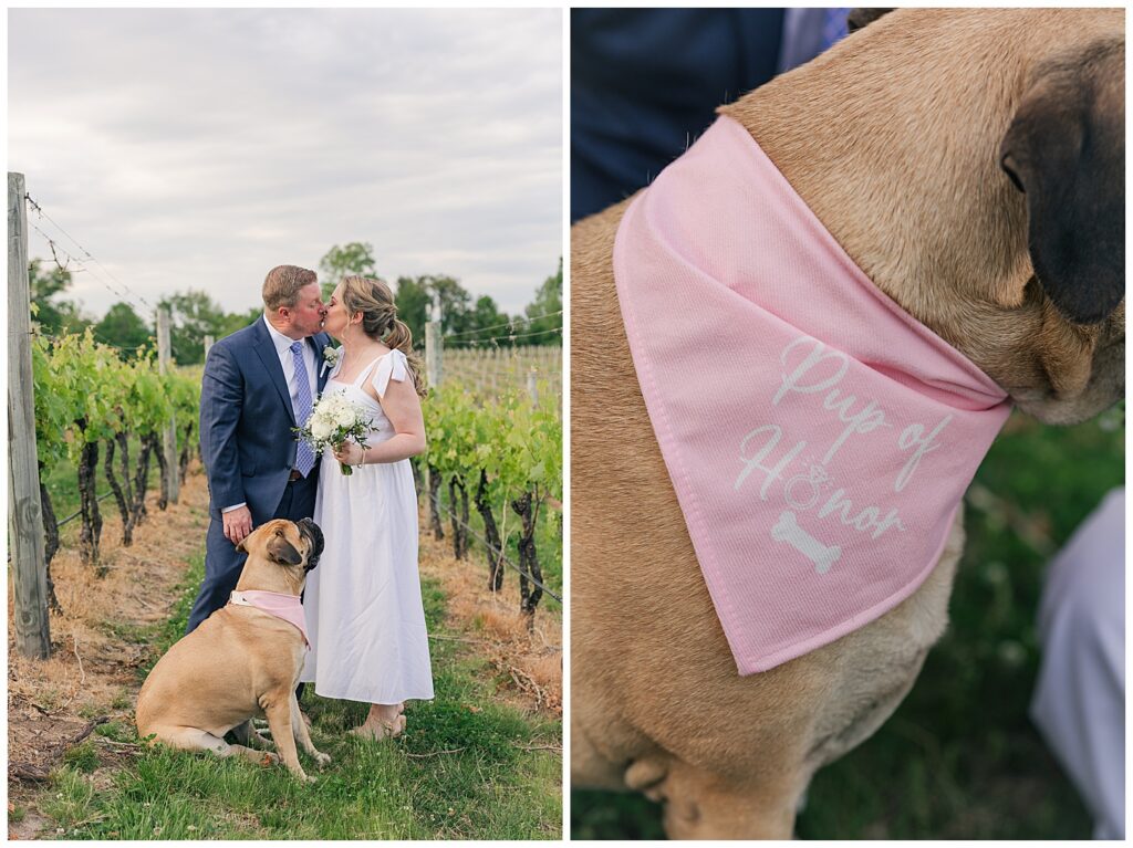 Bride and groom enjoying a private wedding day moment at Williams Gap Winery, a popular Virginia elopement venue