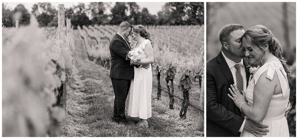 Virginia winery elopement at Williams Gap Winery with vineyard views and intimate wedding moments