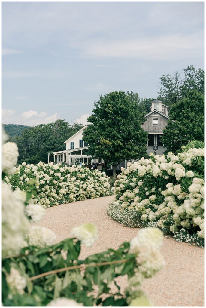 Beautiful garden venue hosting an East Coast wedding industry networking event at Pippin Hill
